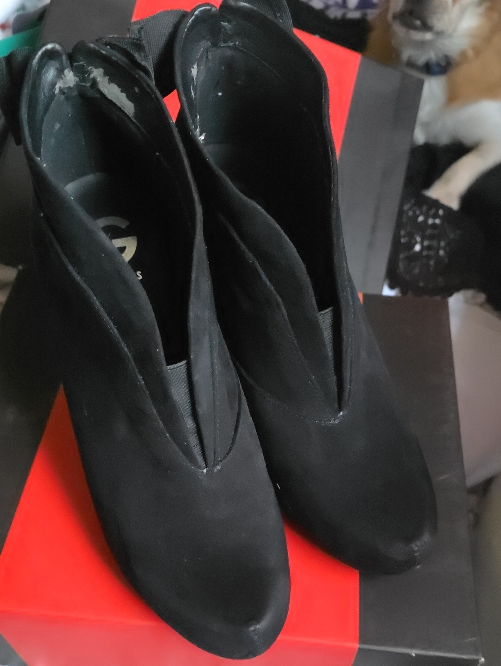 Guess Black Women's Ankle Booties with V-Cut Elastic Gore